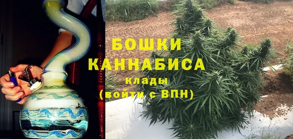 дживик Ельня