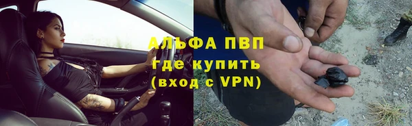 твердый Новозыбков