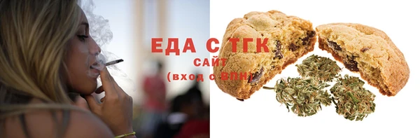 дживик Ельня