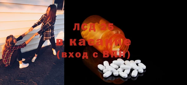 дживик Ельня