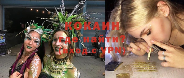 дживик Ельня