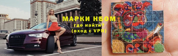твердый Новозыбков