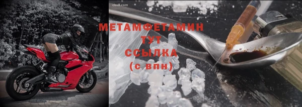 дживик Ельня