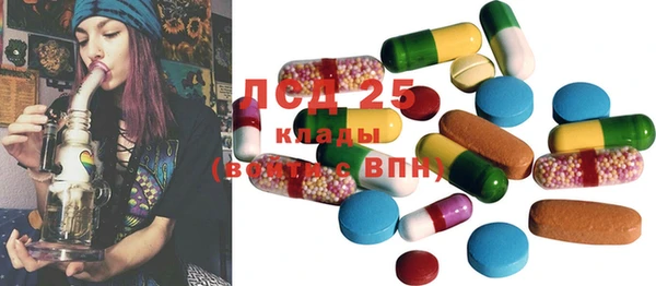дживик Ельня