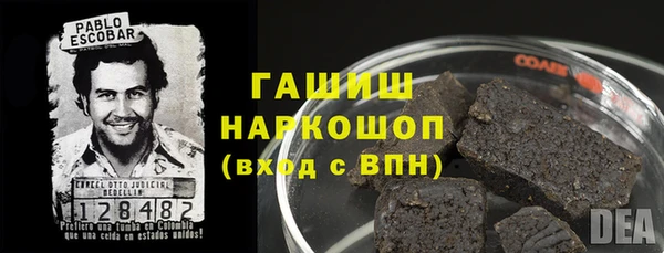 дживик Ельня