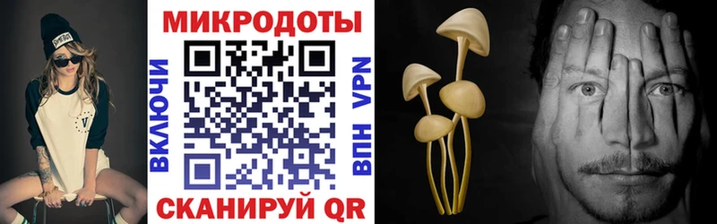 Псилоцибиновые грибы мицелий  Сретенск 